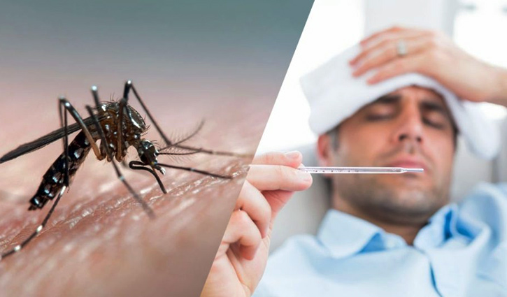 ডেঙ্গু হলে কী করবেন?