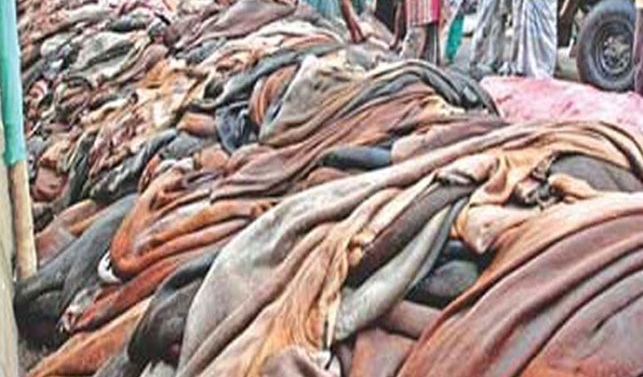 Sacrificial cow rawhide prices set at Tk50-55 per sqft in Dhaka