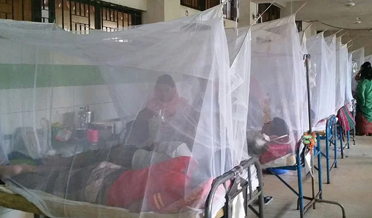 Dengue: 2 deaths, 134 hospitalised in 24 hours