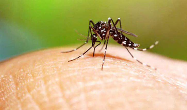 11 die of dengue in 11 days of June