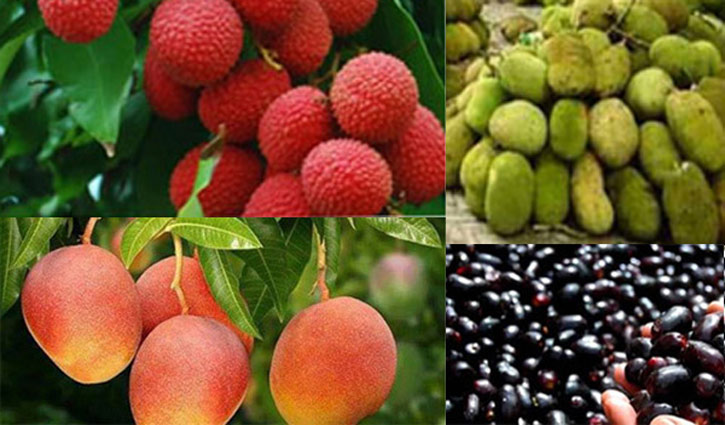 ফলের সমাহার নিয়ে এলো জ্যৈষ্ঠ 