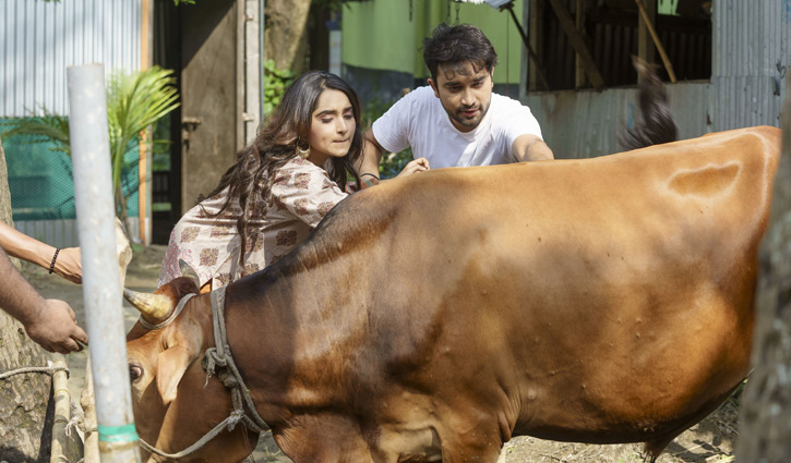 জোভান-পায়েলের ‘কাটুস কুটুস কোরবানি’