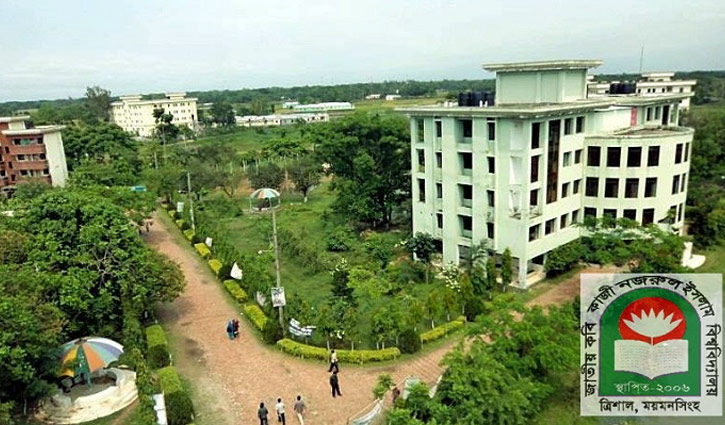 বিশ্বসেরা গবেষকের তালিকায় নজরুল বিশ্ববিদ্যালয়ের ৩১ গবেষক