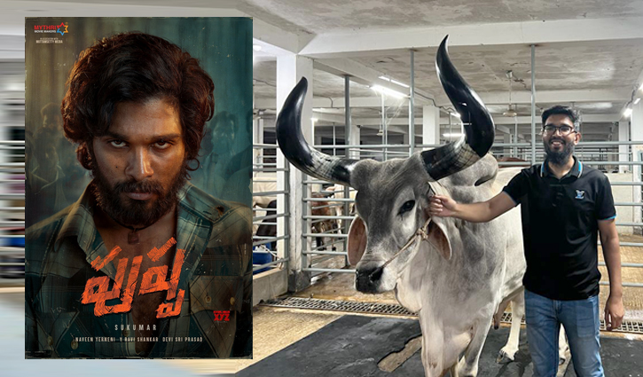 আরহান এগ্রোতে পুষ্পা-পাশা ভাই!