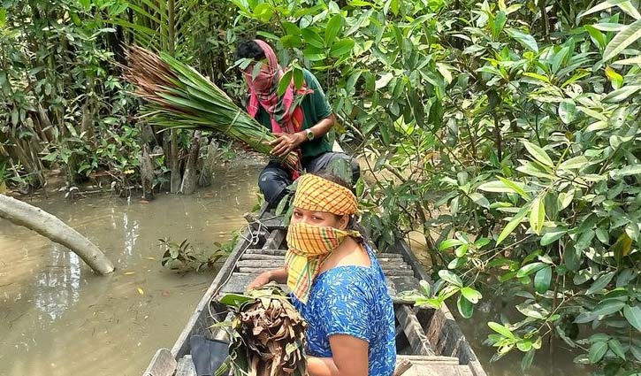 ‘ভয়ঙ্কর সুন্দরে’ যাই মধু আহরণে