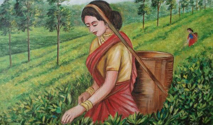 ৪ জুন জাতীয় চা দিবস: স্বীকৃতি পাচ্ছেন আট ব্যক্তি ও প্রতিষ্ঠান