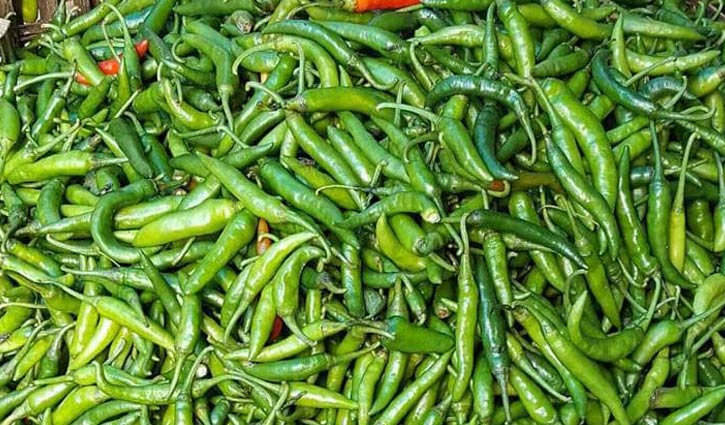 রাজবাড়ীতে কাঁচা মরিচের কেজি ৬০০ টাকা 