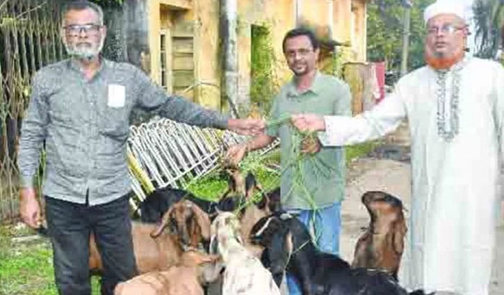 এক বছর পর ঘরে ফিরল ৯ ছাগল!