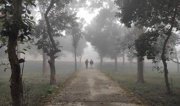 শীত এসে গেছে লালমাটির ক্যাম্পাসে