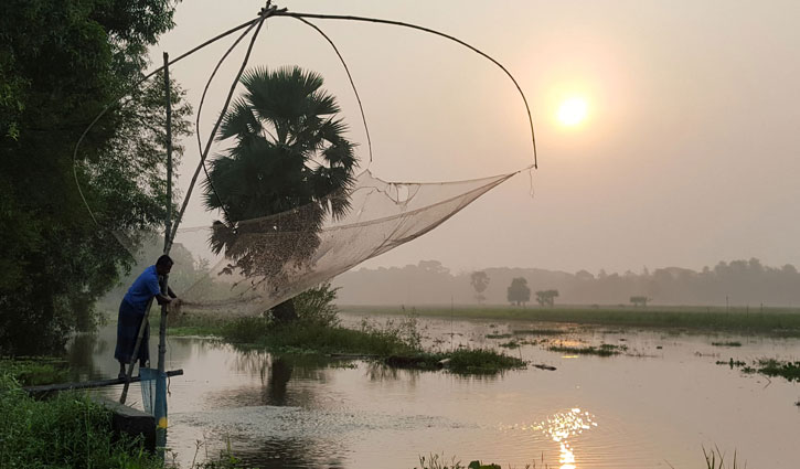 প্রকৃতিতে হেমন্তের রূপ