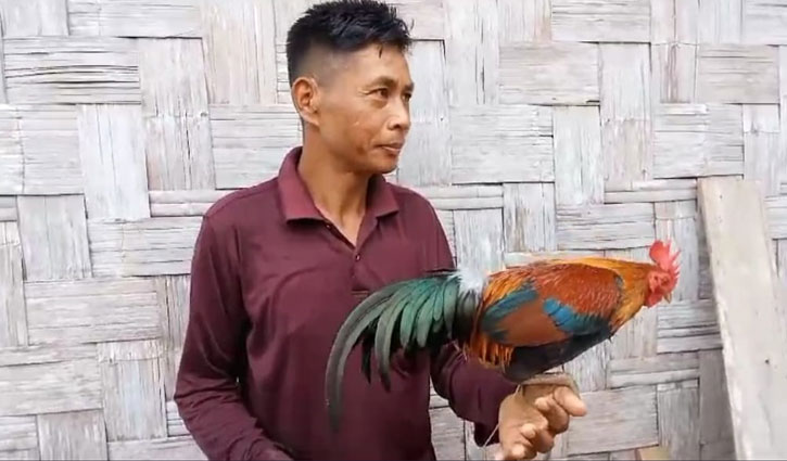 বান্দরবানে বনমোরগ-মুরগির খামার
