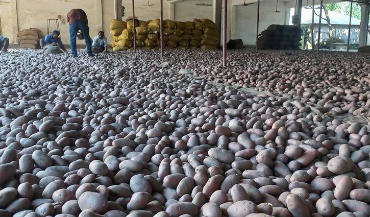 রংপুরে আলুর দামে রেকর্ড