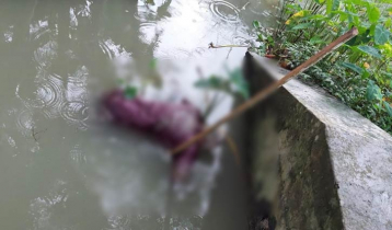 ঝালকাঠিতে খালে ভাসছিল বৃদ্ধের লাশ