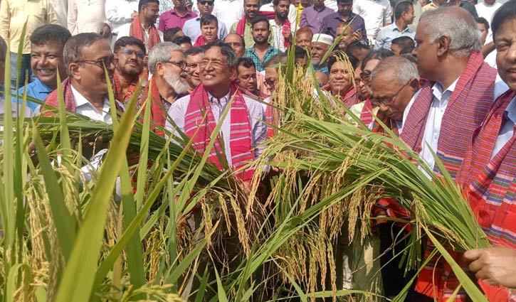 সুষ্ঠু নির্বাচন আয়োজনে সরকার জাতির কাছে প্রতিজ্ঞাবদ্ধ: কৃষিমন্ত্রী