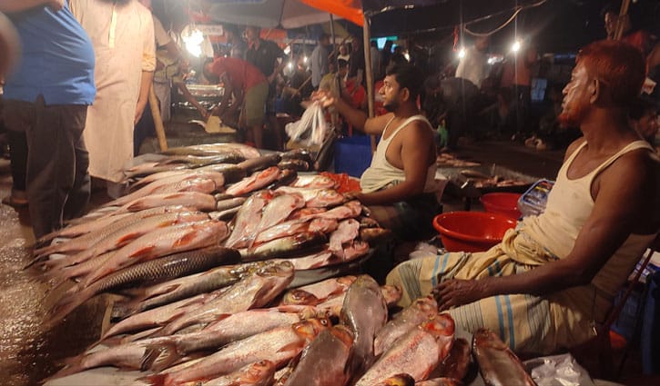 পদুয়ার বাজার, যেখানে প্রতিদিন বিক্রি হয় কোটি টাকার মাছ