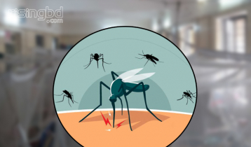 16 more die from dengue, 2564 hospitalised