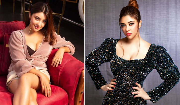 ‘শুরুটা বলিউডে হলে তারা আমার পোশাক খুলে আমাকে উপস্থাপন করতো’