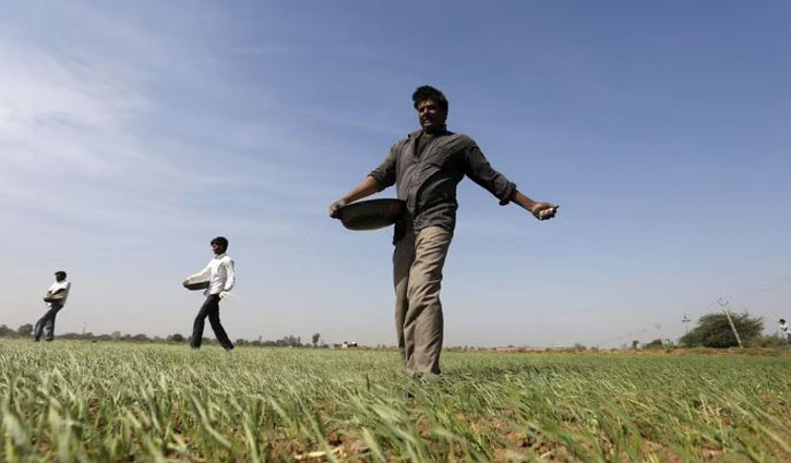 ভারতের কাছে বিশেষ ছাড়ে সার বিক্রি বন্ধ করেছে রাশিয়া