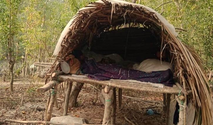 জনবল ও ভবন সংকট: নিরাপত্তাহীন সংরক্ষিত বনাঞ্চল 