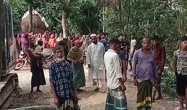 বেলাবতে চারা বাঁচাতে গিয়ে গাছের চাপায় মৃত্যু 