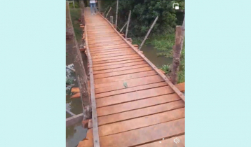 তরুণদের উদ্যোগে নির্মাণ হলো সেতু
