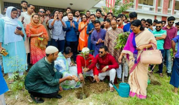 শেখ হাসিনার জন্মদিনে তিতুমীর কলেজ ছাত্রলীগের বৃক্ষরোপণ