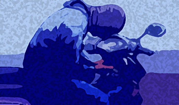 চাঁপাইনবাবগঞ্জে দুই মাসে শতাধিক মোটরসাইকেল চুরি!