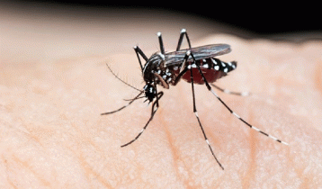 One dengue patient dies at RMCH
