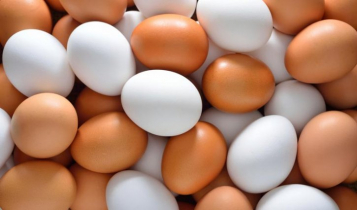 Govt nods to import egg, sets price of 3 commodities
