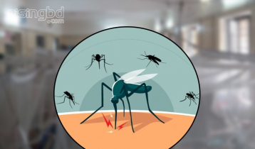 17 more die from dengue, 3084 hospitalised
