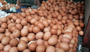4 companies to import 4cr eggs from India