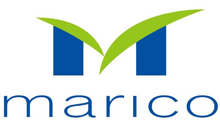 ম্যারিকোর ক্রেডিট রেটিং নির্ণয়