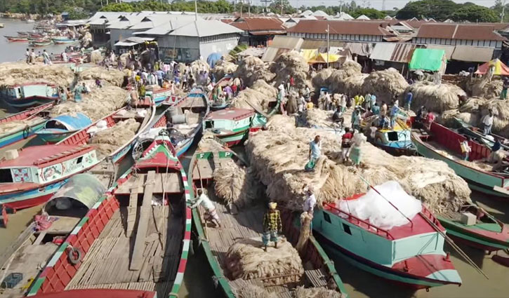 যমুনায় নৌকায় জমজমাট ভাসমান পাটের হাট