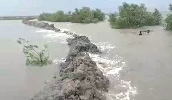 জোয়ারে পানির চাপে ৫১ কি.মি. বাঁধ ভেঙে যাওয়ার আশঙ্কা 