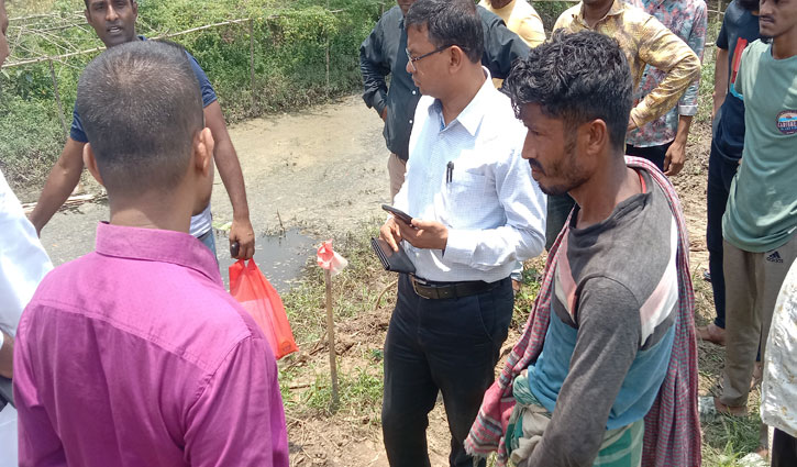 খুলনায় বৃক্ষ নিধন: স্থানীয়দের তোপের মুখে ঠিকাদার ও উপপরিচালক