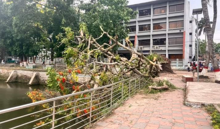 নাসিরনগরে অধিকাংশ গ্রাম বিদ্যুৎহীন