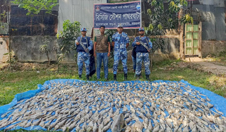 ২৮০ কেজি হাঙ্গর জব্দ