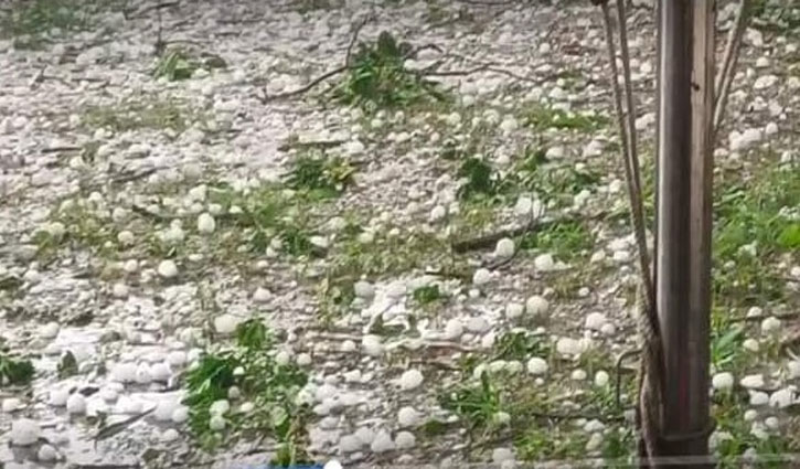 হবিগঞ্জে শিলাবৃষ্টিতে ব্যাপক ক্ষতি
