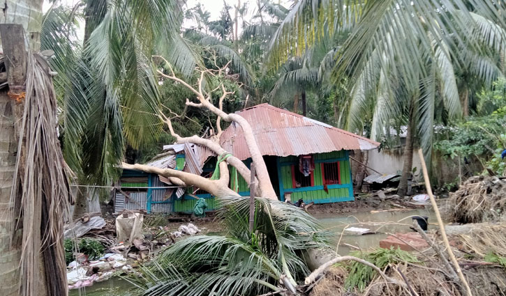 পিরোজপুরে রেমালের তাণ্ডবে ৫ জনের মৃত্যু