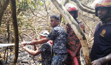 Sundarbans fire under control: Environment ministry