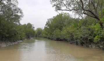 Three-month tourism ban in Sundarbans starts Saturday
