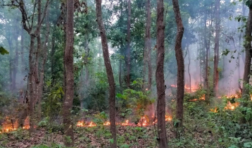 Miscreants set fire to forests in hills; administration silent 