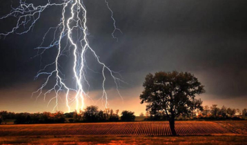 Lightning strikes increasing due to climate change