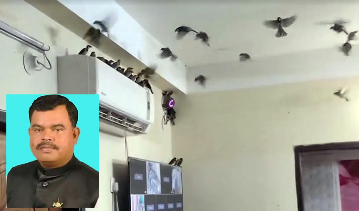 ঝড়ের কবলে পড়া হাজারো চড়ুই’র জীবন বাঁচালেন শরীফ কামাল