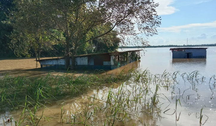 কুমিল্লায় বন্যায় ফসলের ক্ষতি ৮৪৮ কোটি টাকা 