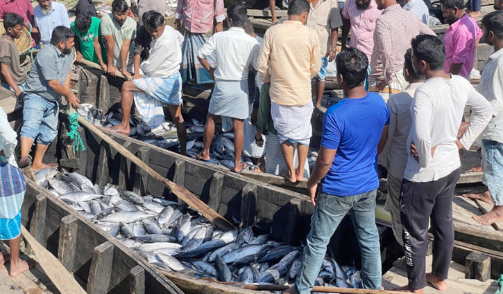 কক্সবাজারে ১ ট্রলারে ধরা পড়ল ১২ মণ টুনা মাছ