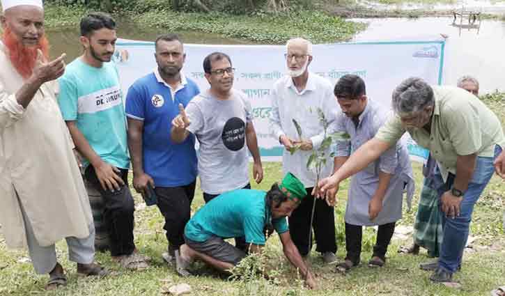 পরিবেশ রক্ষায় হবিগঞ্জের হাওরে বৃক্ষরোপণ