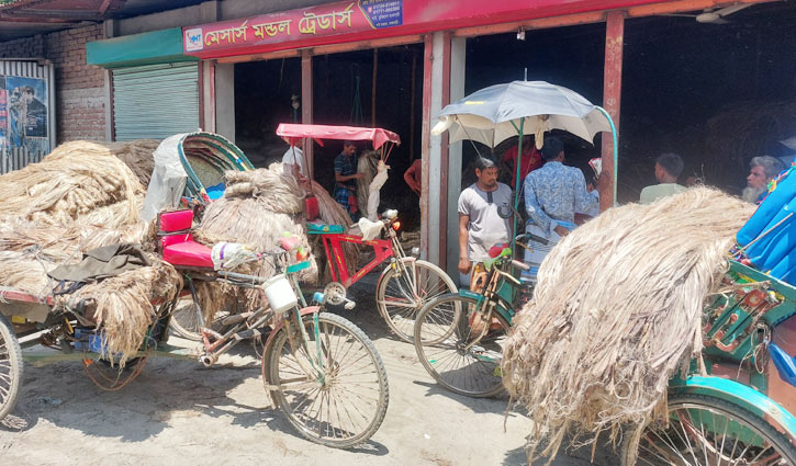 বাজারে কাঙ্ক্ষিত মূল্য মিলছে না পাটের