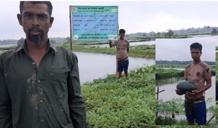 সাতক্ষীরায় অফ সিজনে ব্লাক জায়েন্ট জাতের তরমুজে সাফল্য