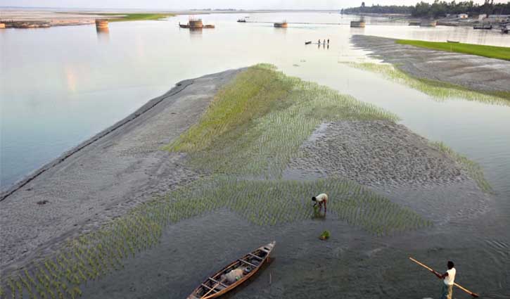 যেকারণে ব্রহ্মপুত্রের বুকে এতো চর 